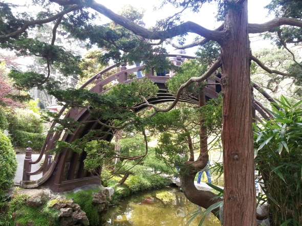 This bridge at the Japanese Tea Garden was insane.  